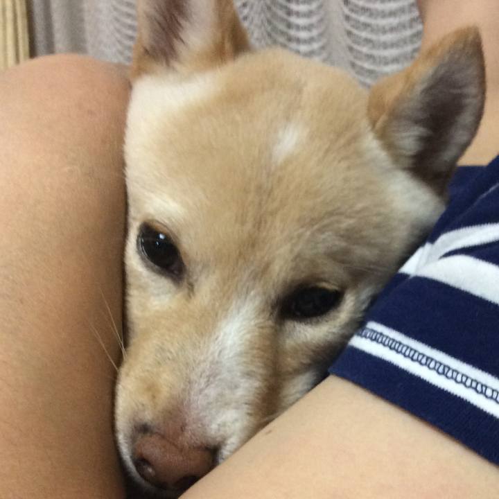 3374fb3d 2441 4076 9263 98b7a7209018