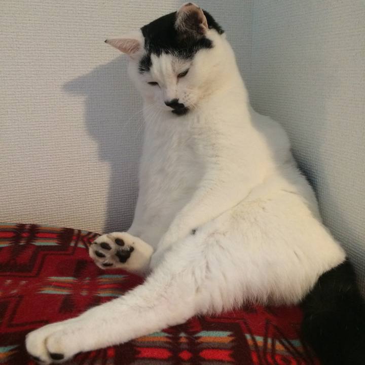 33751cbd bda8 4580 b658 577baedd20e3