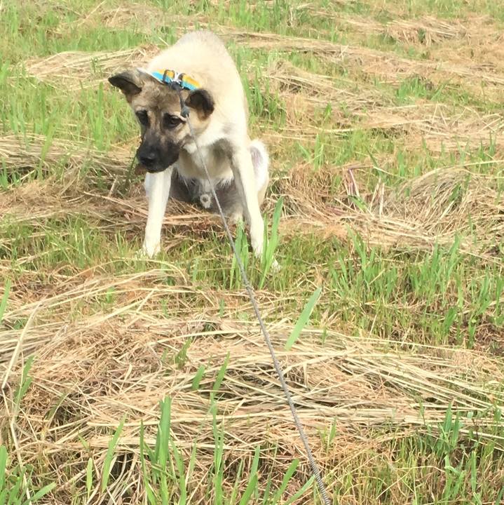 33753cf9 a202 469d a748 012ef938bfbf