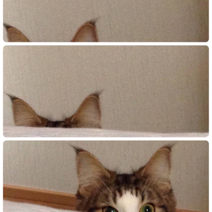 3375fb72 e134 4fde 9afc 7a9d8a7eeb45