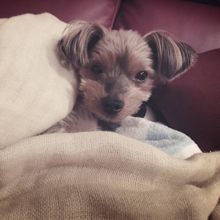 3376270a dcb3 4767 b4eb 4ef9af10031c