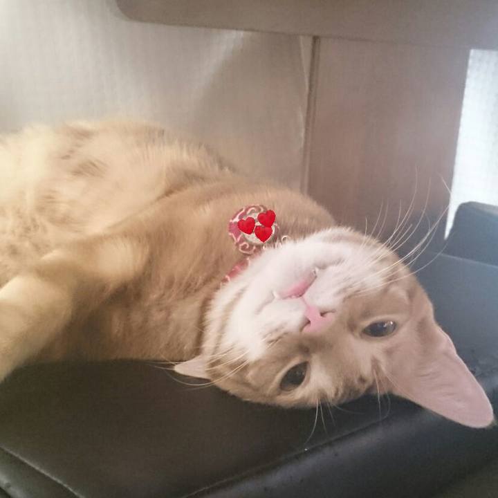 33762e3b 9191 40a5 ba28 07b5618fa1c2