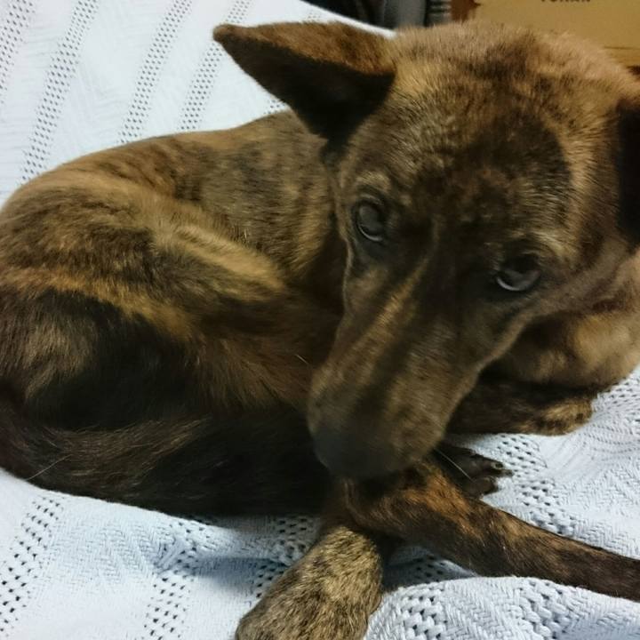 337639b4 d964 4d5f a942 2ab0bfce0bbb