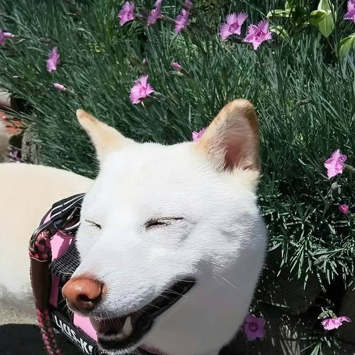 33772e88 79f1 488e 9995 4efce8d917d7