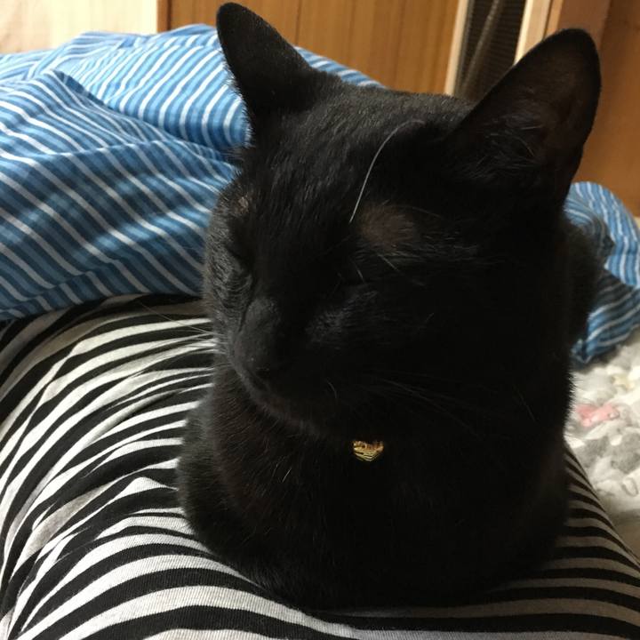 33773540 461a 41fe 93a8 b55601ff7074