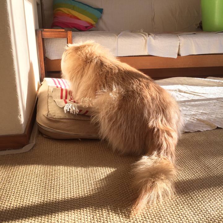 33775a1b e465 4f69 9c54 573d83fa7cb3