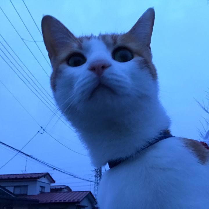 33778158 7b88 4c84 95dd 53862dbd19b0