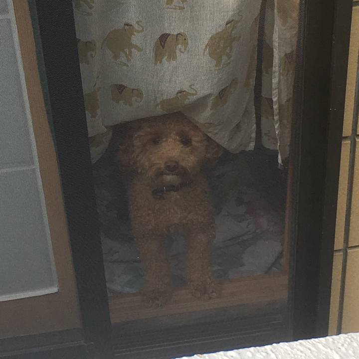 337785f6 a7da 4649 8e74 dc9279e0cdf2