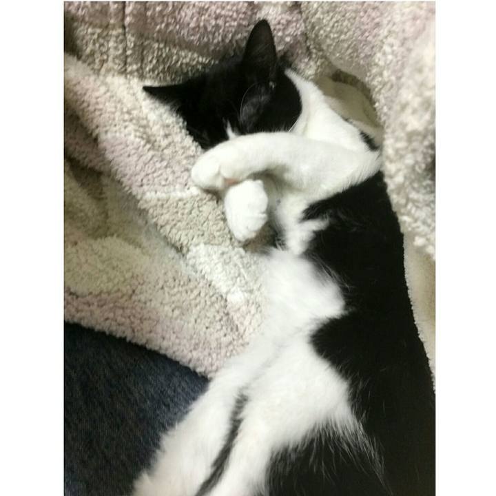 33780a44 9245 4ebb b353 4d041b921930