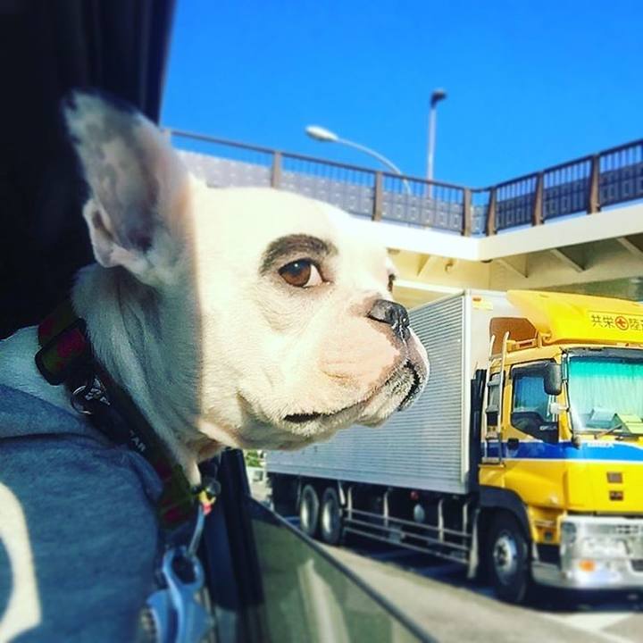 33780df9 0edc 4df3 a4fa 45a204ce1c33