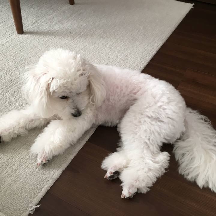 33782b42 cfef 41b3 b52a 8722730148b3