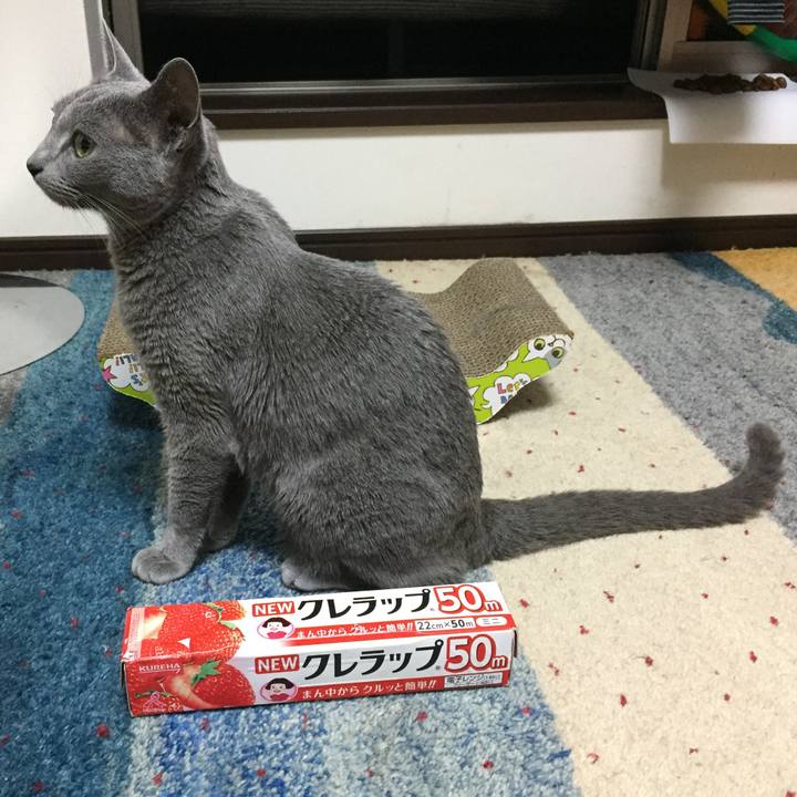 33790b1c 3ed1 4157 82c6 9ce2c568e18a