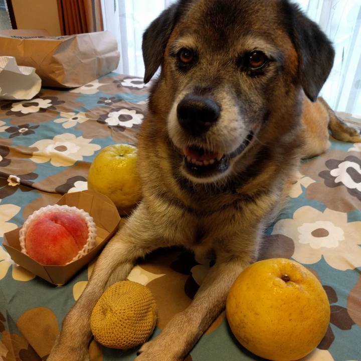 337914ac 5a14 421e 953e 6113c6bf36b6