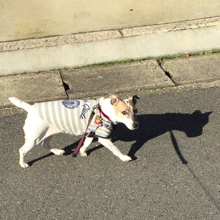 337a2862 f44b 43eb 8132 39867b9b1e6e