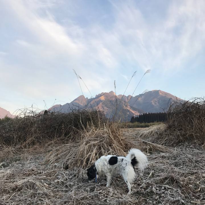 337a4a64 1ef8 4d94 bb4f d6ab697e219a