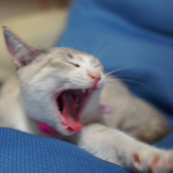 337a7d7b a2a1 4588 978b 12d92f4f1c54