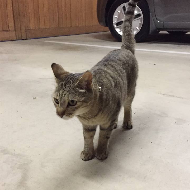 337a8398 2ee4 45e3 8719 e274d8a54065