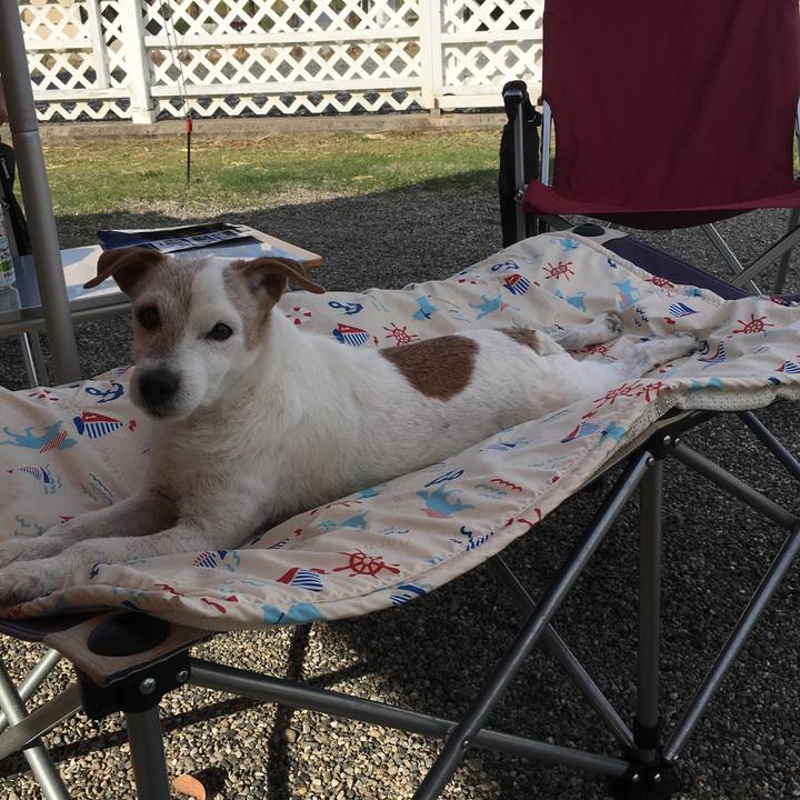 337aa07f dd82 48f3 b1c2 80a2750d25ca