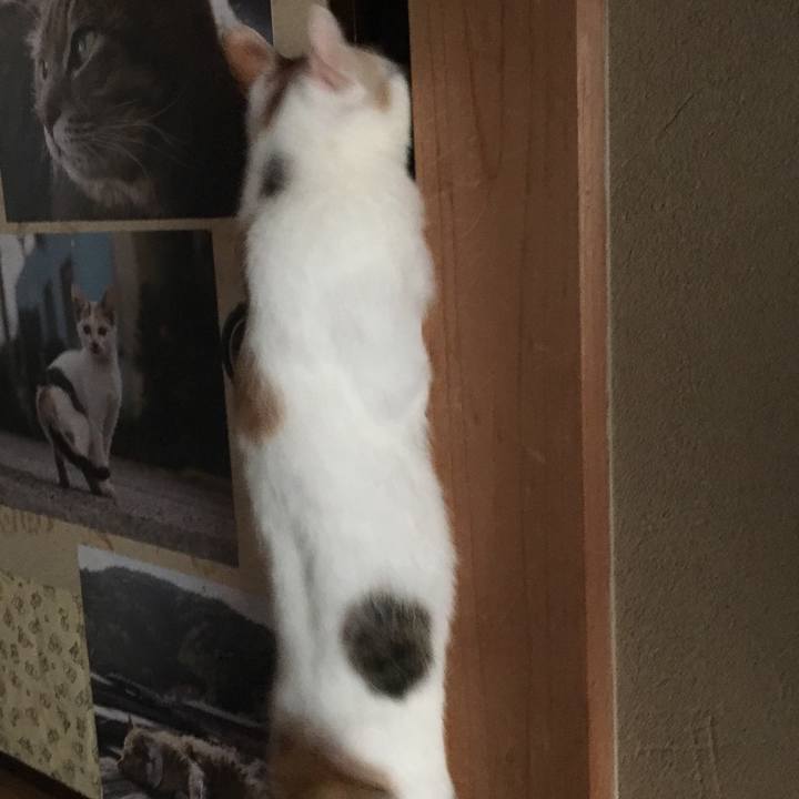 337aaa20 aacb 4e88 91c7 67303ae3df52