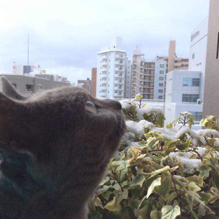 337b15da 5e5c 46d9 ae34 b8f1644d99ee