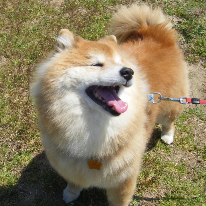 337b5cd1 d2a6 4940 a461 6c34e2cfe5f1