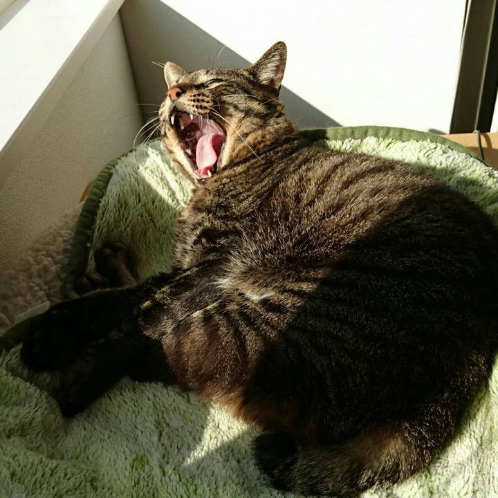 337c2925 42bd 4db0 bd60 310707e947b1