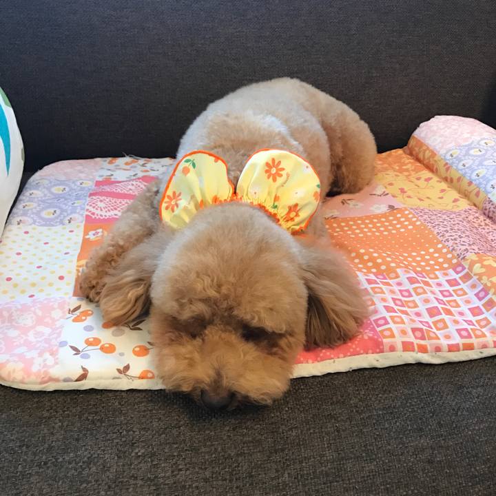 337c2ddc ef76 49ff b594 6595b0fe041c