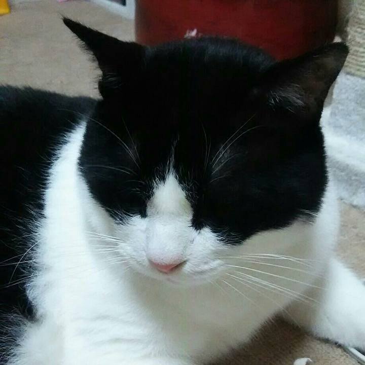 337c3385 d4f7 4a1b 9ef6 6aee662b7a70