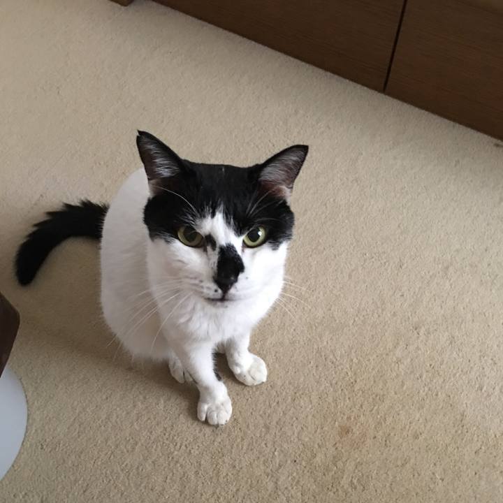 337c5fa3 4902 4f57 8958 c34cb74bbde5