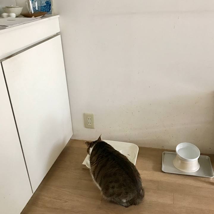 337cbb8b b794 4f56 913e 32ec561a3703