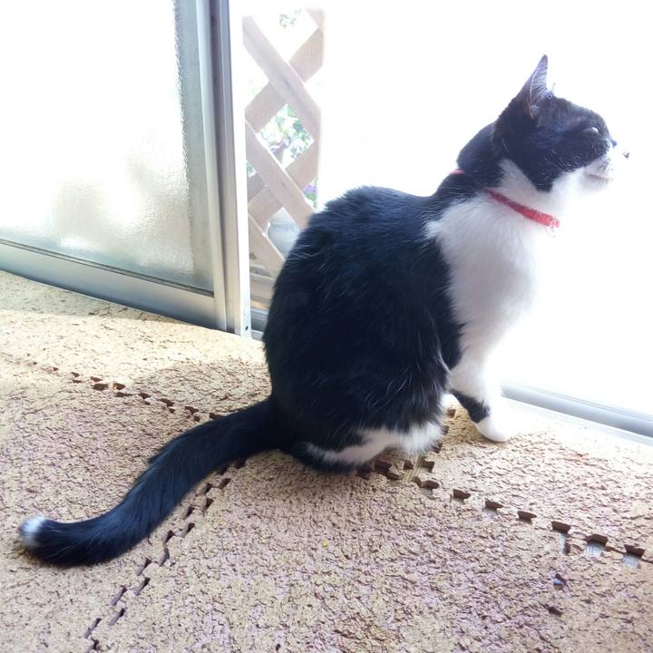 337cf715 4c32 4053 9767 e58cb70f5809