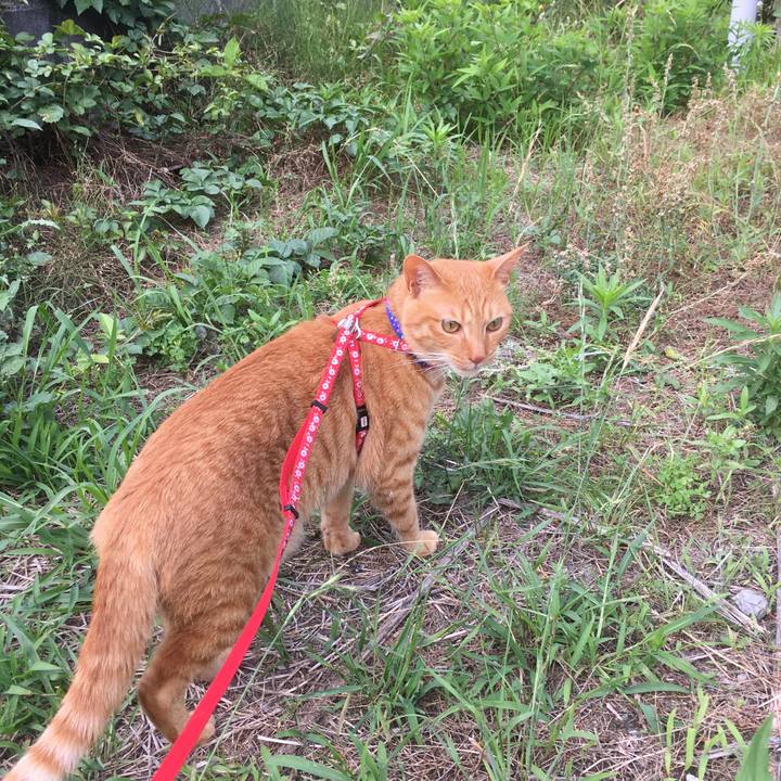 337de2c4 325a 46f2 af3f f2bd3bb3886a