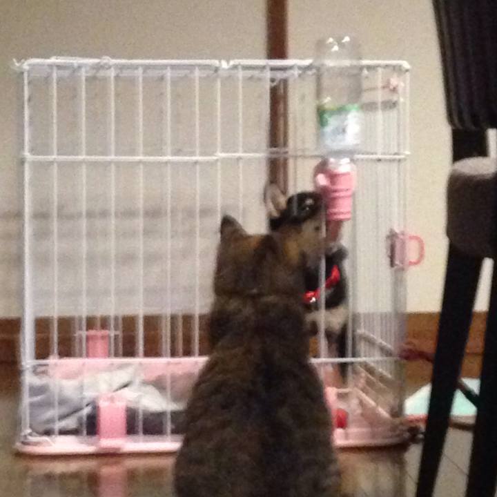 337dfbee a1ab 4444 a8e3 1461eac8d429