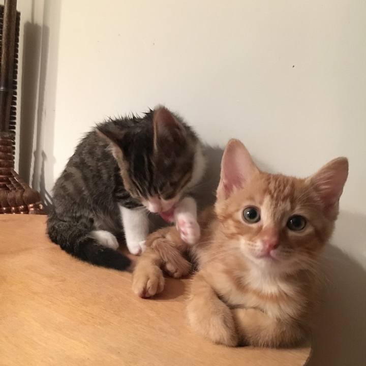 337fb12b c105 4f48 8374 de91d986d27d