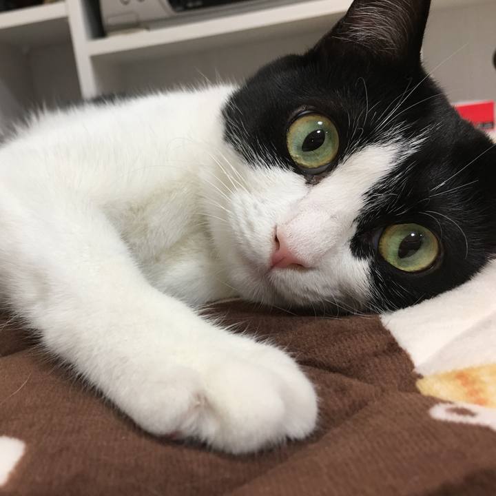 33801021 a591 47f7 95ea 911686328b7f