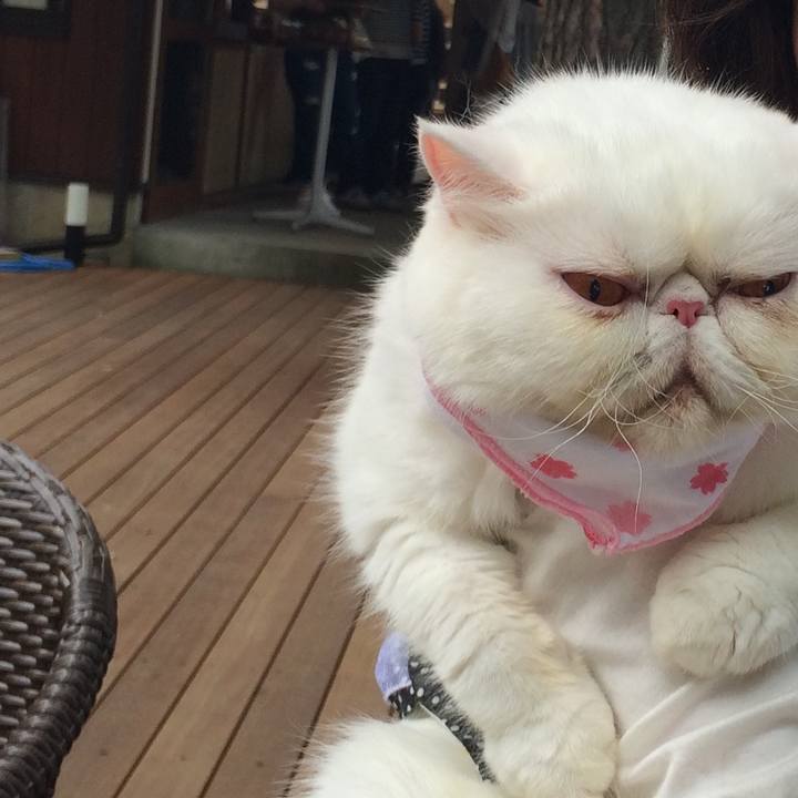 338119b3 591d 452c bca9 b8582f9f07a6