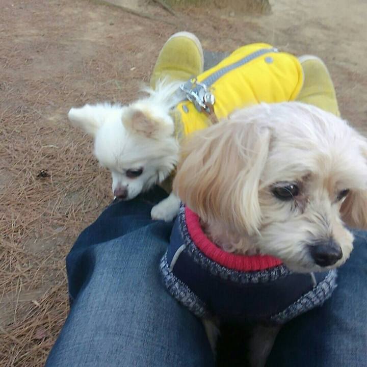 3381203f 6f79 4a24 bd45 ed141c5b9c39