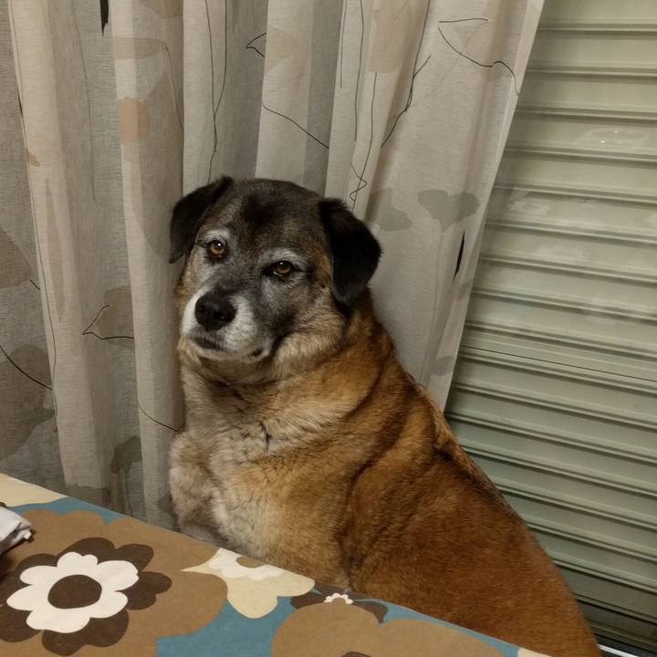 3381cbb4 234b 4ec4 bebe 346e49200af8