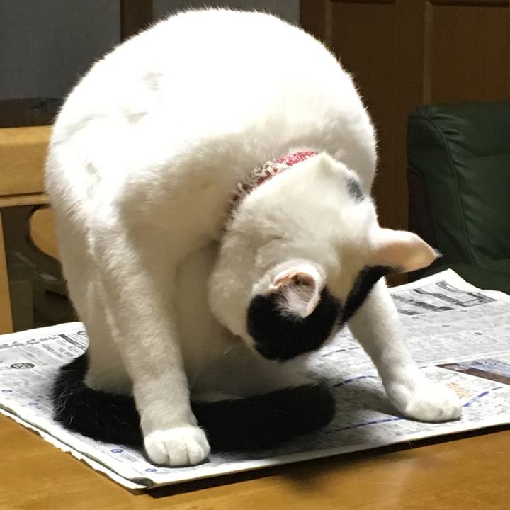 33832027 096b 478c 88f3 c543c5af34c7