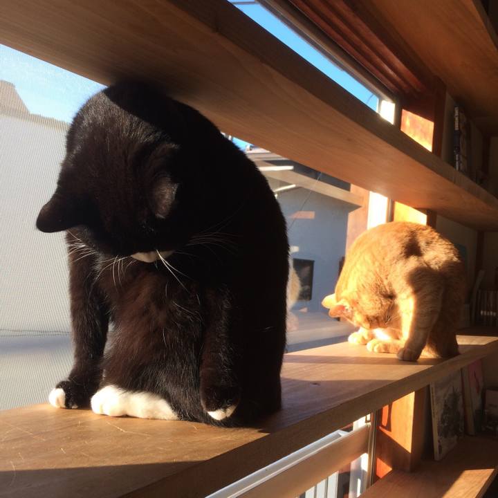 33838b2b 5cb5 46ff a819 dd3dfa5b1246