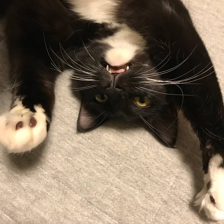 3383d918 5e3d 4608 9fbc 9c768c08f951