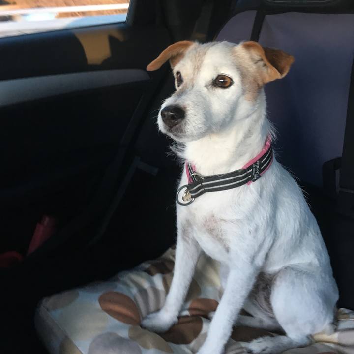 3383fd60 e791 4540 af12 2b2b002a2098