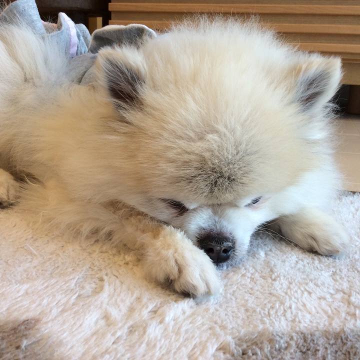 33842fad 2eb3 4c97 86d2 52710dd2f945