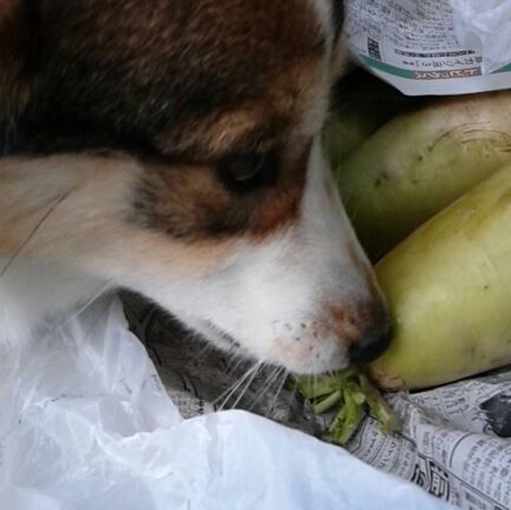 338431d7 b14e 40c9 934f df0a1843a426