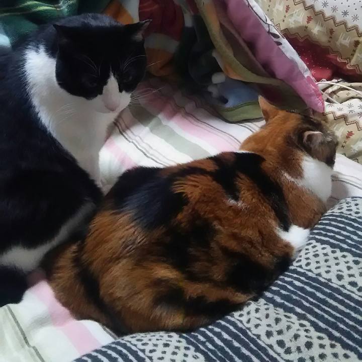 3384aec6 1851 44a7 88eb c822b7db6c5f