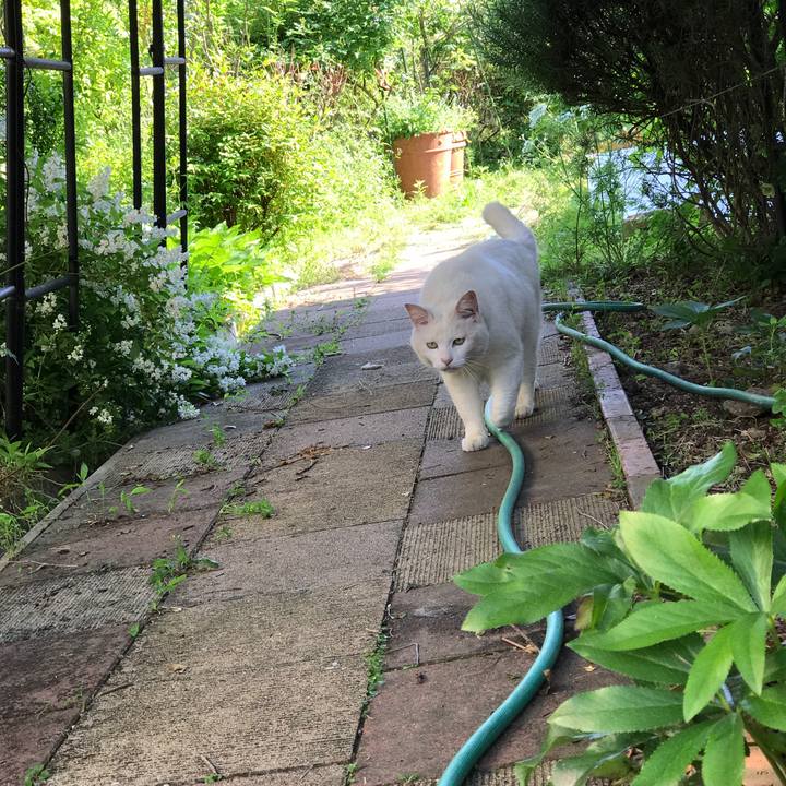 33857bea 7c17 4baf 80e4 539650ecbbe7