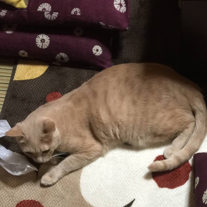 3386c14f cb09 485f 8ece f0f6a509a397