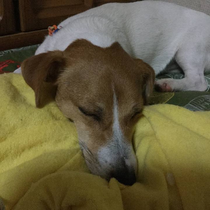 33879c23 3113 4c1e 88e3 2becffc200ab