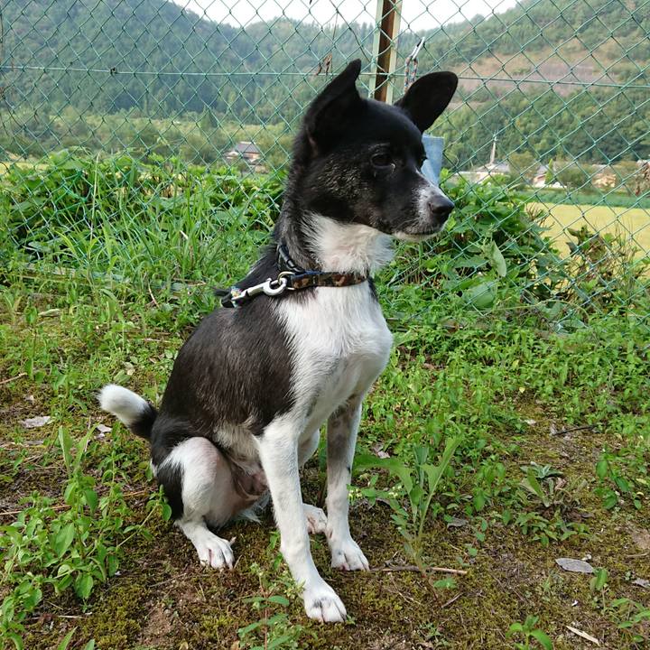 3387c71e eb52 4fd8 b42c 9fef0e1bc056