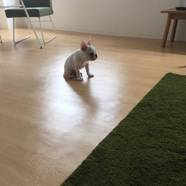 33881953 d228 48ef a374 5fb279cf8d86